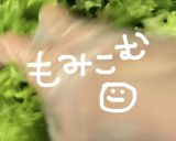 チョレギサラダ作り方8写真