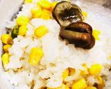 お弁当用ご飯の炊き方　食中毒予防にお酢◎作り方13写真