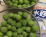 さわやか　梅シロップ作り方1写真