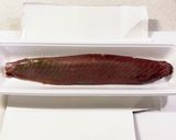 簡単！カツオの中華風作り方1写真