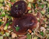 野菜たっぷり万能山形だし作り方3写真