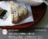 朝食に♡ジャムヨーグルト♪作り方15写真