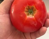 簡単!とぅるんと剥ける湯むきトマト作り方4写真
