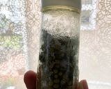 山椒の実のあくぬき作り方7写真