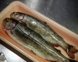 鱒のムニエル((✡≧↺≦✡))作り方1写真