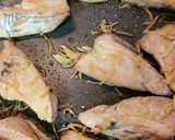 カツオのしょうが焼き作り方2写真