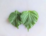 カラフル夏野菜生春巻きとそぼろ飯生春巻き作り方13写真