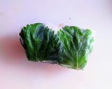 カラフル夏野菜生春巻きとそぼろ飯生春巻き作り方15写真