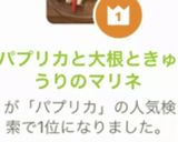 パプリカと大根ときゅうりのマリネ作り方16写真
