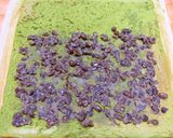 すいとん粉で☆抹茶シフォンロール作り方17写真
