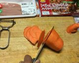 ささみと玉葱メイントマト風味ハヤシカレー作り方16写真