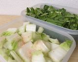 白菜のあっさり浅漬け作り方1写真