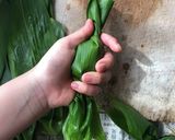 笹団子〜スゲの結び方編〜作り方5写真