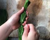 笹団子〜スゲの結び方編〜作り方8写真