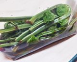 こごみの下処理作り方6写真