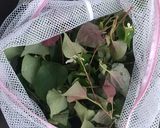 簡単!100均洗濯ネットでドクダミ茶作り方2写真