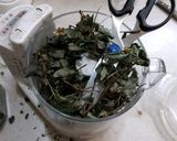 簡単!100均洗濯ネットでドクダミ茶作り方8写真