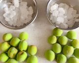 青梅の梅酒作り方7写真