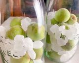 青梅の梅酒作り方8写真