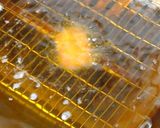ヘルシー高野豆腐ヒレかつ＆特製胡麻ソース作り方8写真