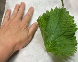 しそ酒作り方1写真