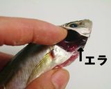 *アジの南蛮漬け*作り方4写真