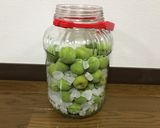 梅酒（日本酒）2021作り方6写真