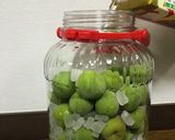 梅酒（日本酒）2021作り方7写真