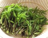コシアブラの菜飯作り方1写真