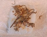 残った漬けマグロと、塩こんぶのおにぎり作り方1写真
