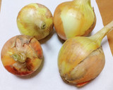 丸ごと新たまねぎと生利節の煮物作り方1写真