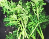 わさび菜のナムル作り方3写真