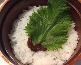 雨月4 照り焼きチキン弁当作り方8写真