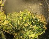 小松菜＆しらす干し＆鰹節これ旨生ふりかけ作り方4写真