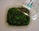 シソの実ごはん作り方3写真
