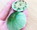 冷凍保存できる摘果メロンの漬け物作り方2写真