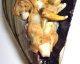 殻つき・たいらぎ貝の和風グラタン作り方17写真