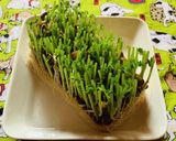 豆苗の豆板醤サラダ作り方4写真