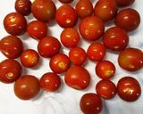 野菜デザート☆ミニトマトのコンポート作り方1写真