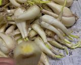 お母さんのらっきょう漬け作り方2写真