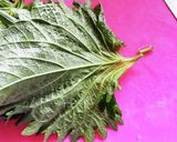 万能！大葉のニンニク醤油漬け♡作り方1写真
