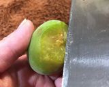 傷んだ梅も活用できる！　梅ジュース作り方1写真