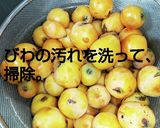 びわのワイン酒作り方5写真