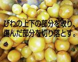 びわのワイン酒作り方6写真