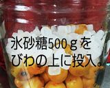 びわのワイン酒作り方8写真