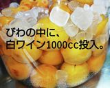 びわのワイン酒作り方9写真