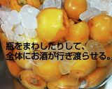 びわのワイン酒作り方10写真
