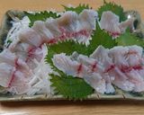 夏の涼 ナマズの刺身 洗い作り方6写真