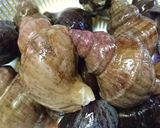 つぶ貝の塩ゆでと注意点作り方1写真