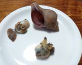 つぶ貝の塩ゆでと注意点作り方4写真